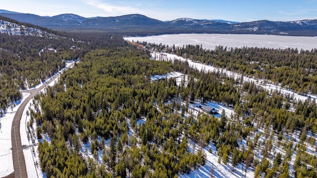 bird's eye view featuring a mountain view and a view of trees