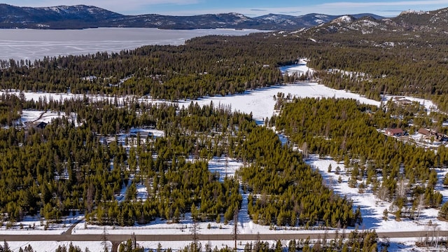 snowy aerial view with a mountain view and a wooded view