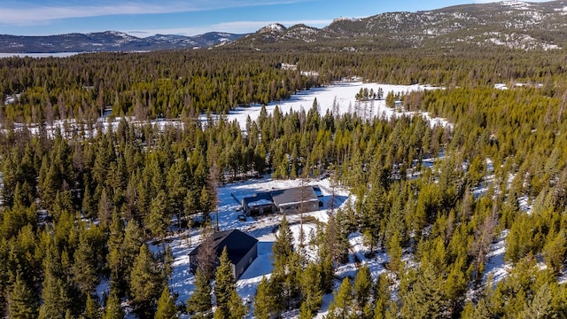 drone / aerial view with a mountain view and a view of trees