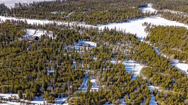 snowy aerial view featuring a forest view