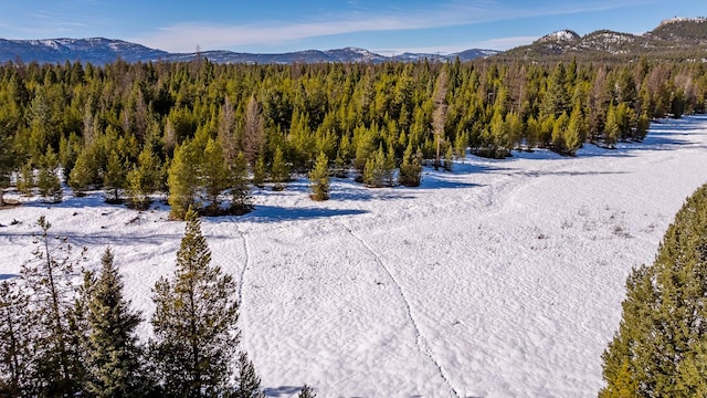 mountain view with a wooded view