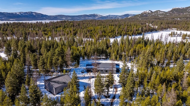 birds eye view of property with a mountain view and a forest view