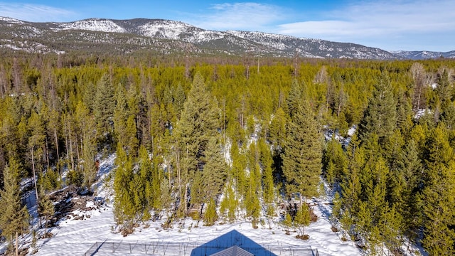 property view of mountains featuring a view of trees