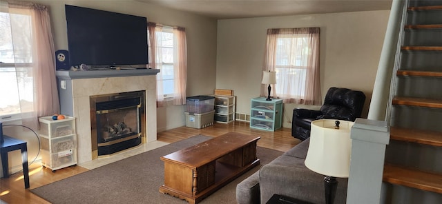 living area featuring a premium fireplace and wood finished floors