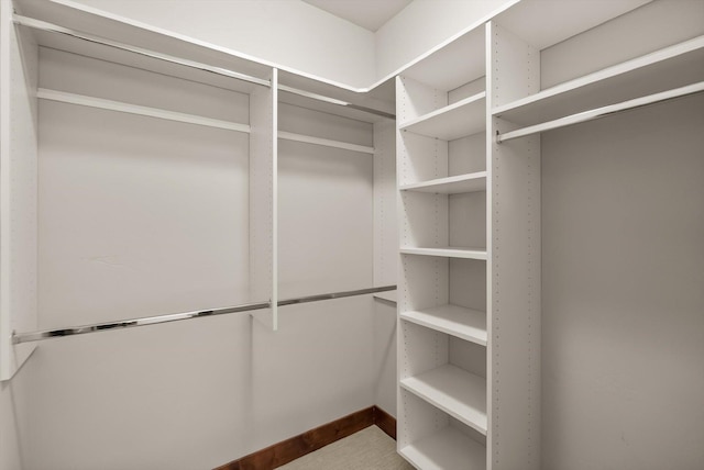 view of walk in closet