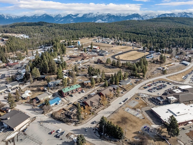 bird's eye view featuring a mountain view and a wooded view