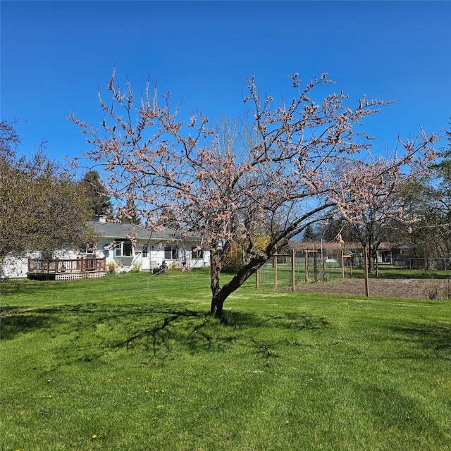 view of yard featuring a deck