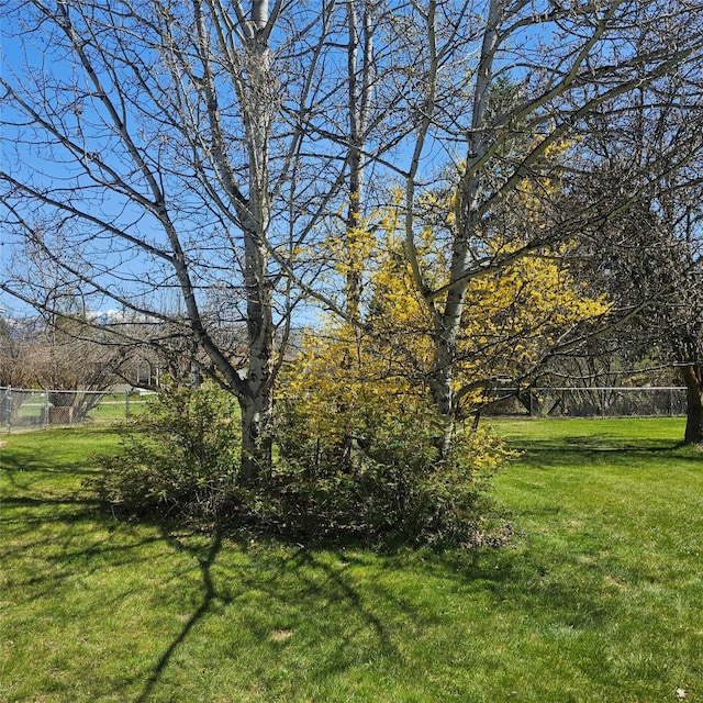 view of yard with fence