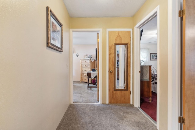 hallway featuring carpet floors