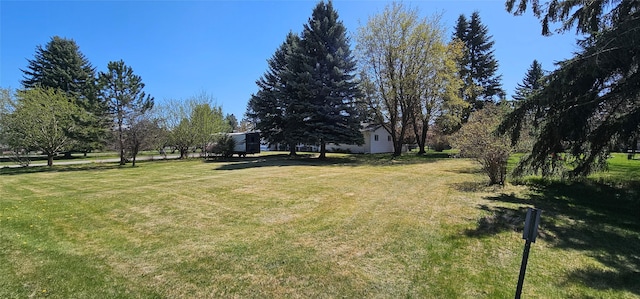 view of yard