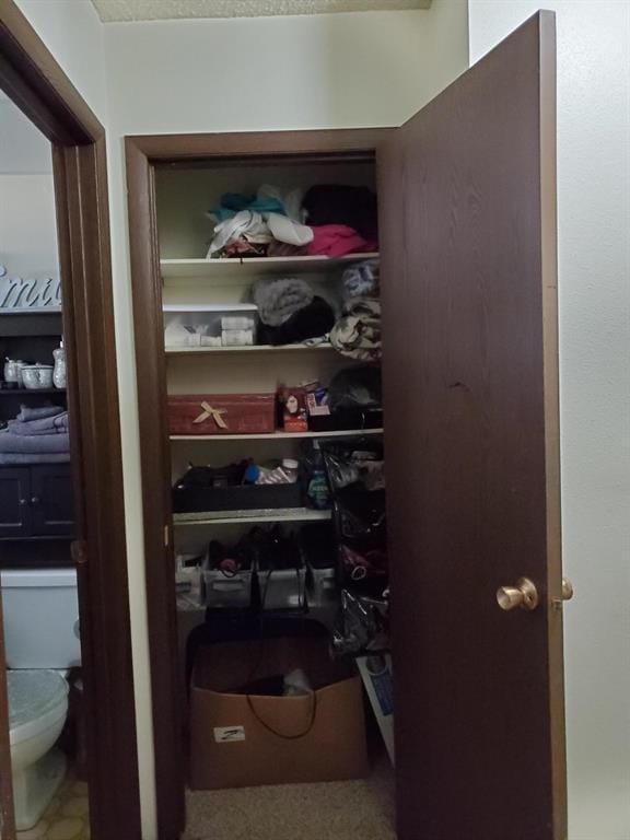 view of closet