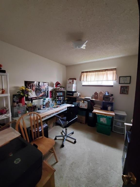 carpeted home office featuring a textured ceiling