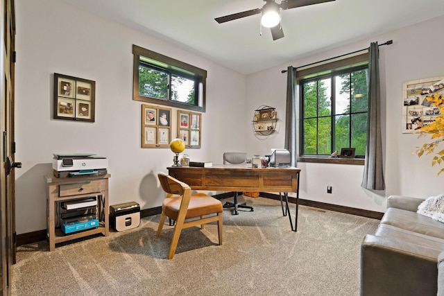 office space with carpet, baseboards, and a ceiling fan