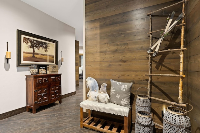 living area with wood walls, carpet flooring, and baseboards