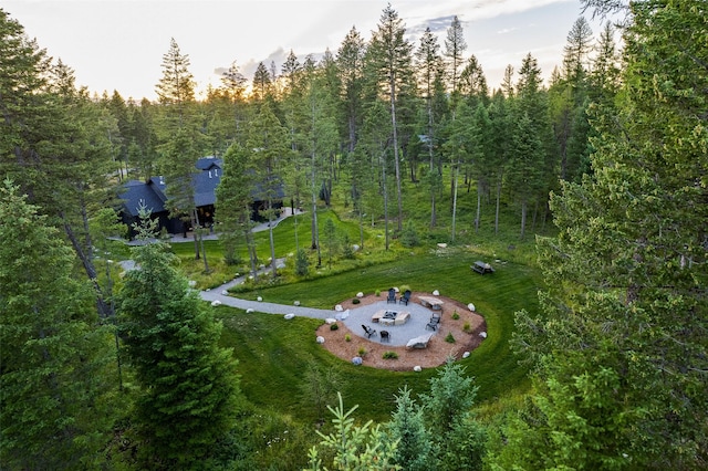 bird's eye view with a forest view