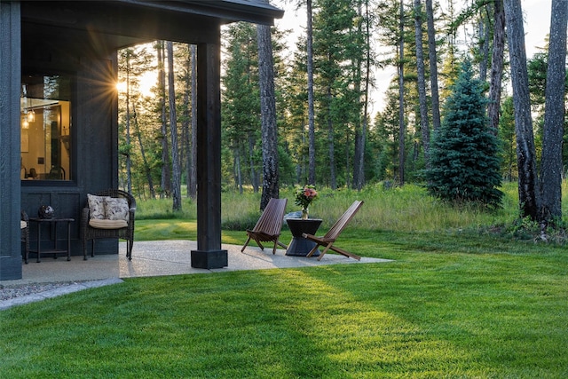 view of yard with a patio area