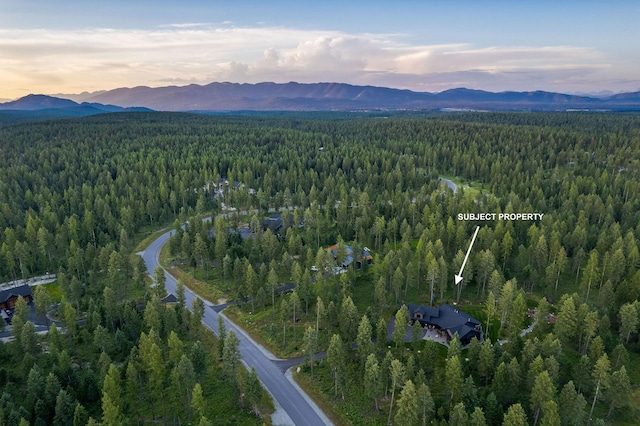 aerial view at dusk featuring a forest view and a mountain view