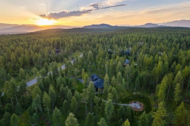 birds eye view of property with a mountain view and a view of trees