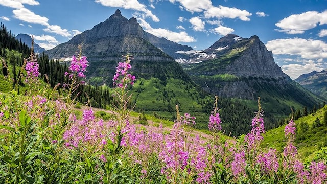 property view of mountains