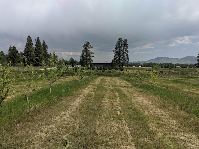 exterior space with a rural view, a mountain view, and driveway