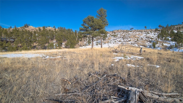 view of mountain feature