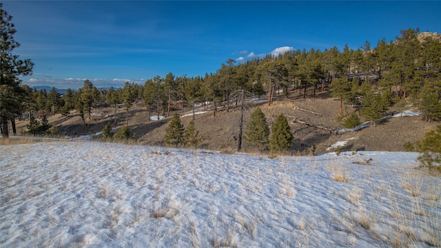 view of landscape featuring a wooded view