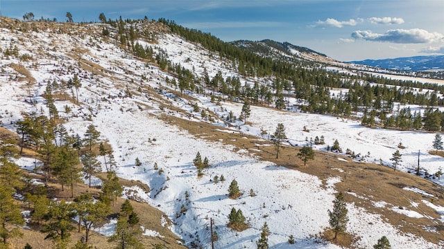 view of mountain feature