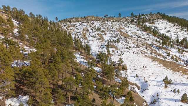 exterior space featuring a mountain view