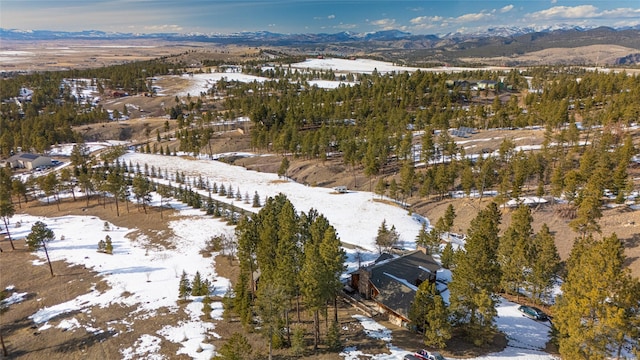 snowy aerial view featuring a mountain view