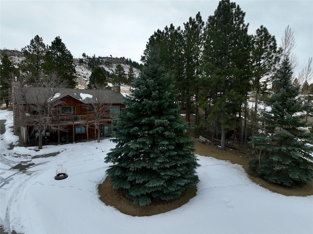 view of yard covered in snow