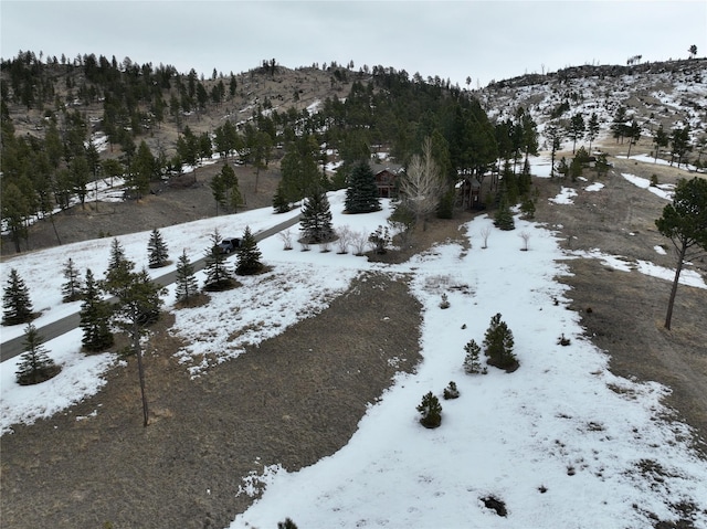 snowy aerial view with a mountain view