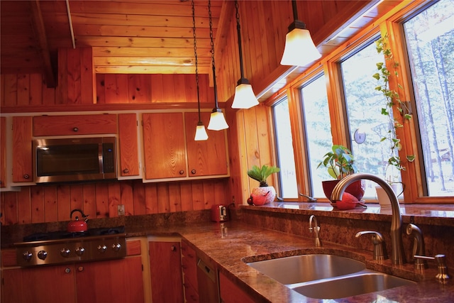 kitchen featuring wooden walls, pendant lighting, stainless steel appliances, and a sink