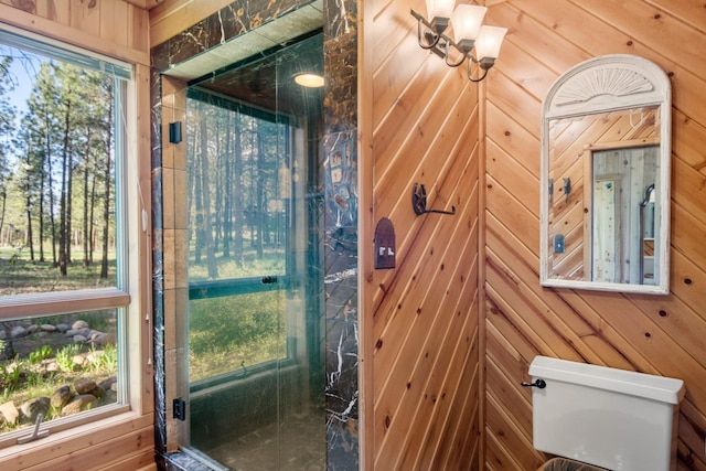 437 Tie Chute Ln, Florence, MT 59833 - bathroom featuring wooden walls and healthy amount of natural light