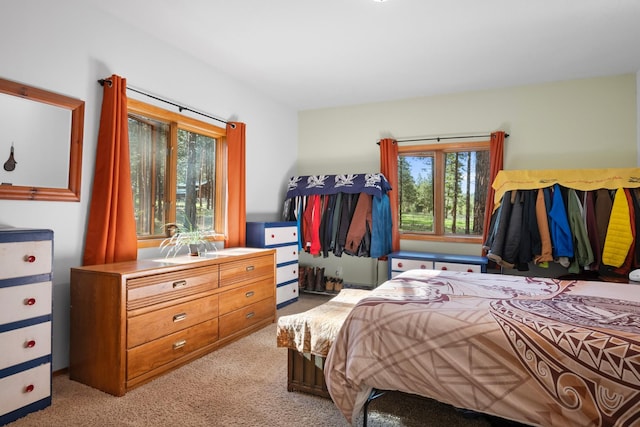 437 Tie Chute Ln, Florence, MT 59833 - bedroom featuring light carpet