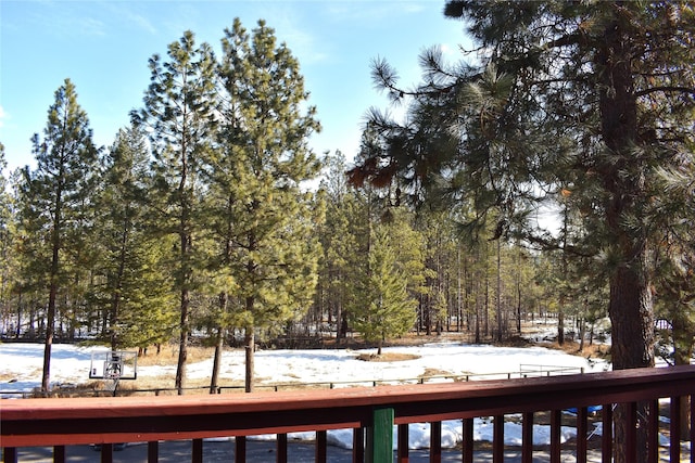 view of yard covered in snow