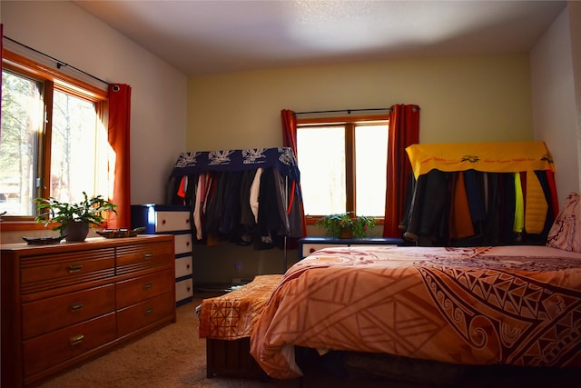 carpeted bedroom featuring multiple windows