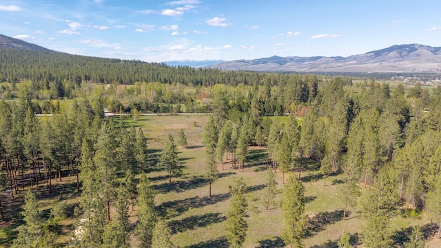 437 Tie Chute Ln, Florence, MT 59833 - view of mountain background with a heavily wooded area