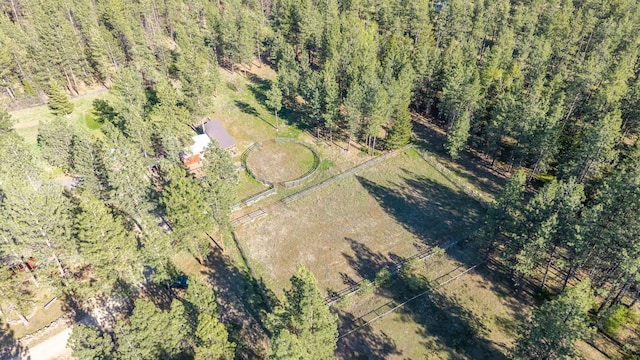437 Tie Chute Ln, Florence, MT 59833 - bird's eye view