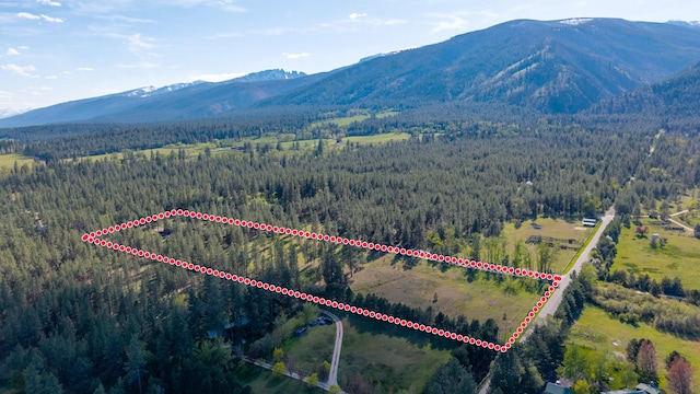 437 Tie Chute Ln, Florence, MT 59833 - aerial overview of property's location featuring a forest, a mountain backdrop, and property parcel outlined