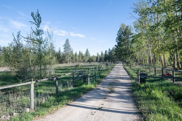 437 Tie Chute Ln, Florence, MT 59833 - view of dirt / gravel road featuring a rural view
