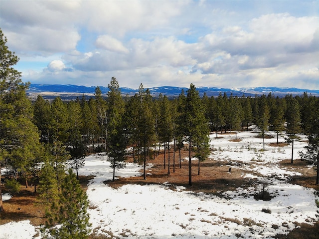 property view of mountains featuring a forest view