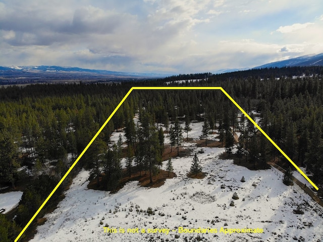 drone / aerial view with a wooded view and a mountain view