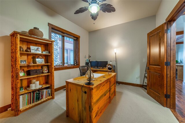 602 6th St W Unit 104, Polson, MT 59860 - home office with ceiling fan, light colored carpet, and baseboards