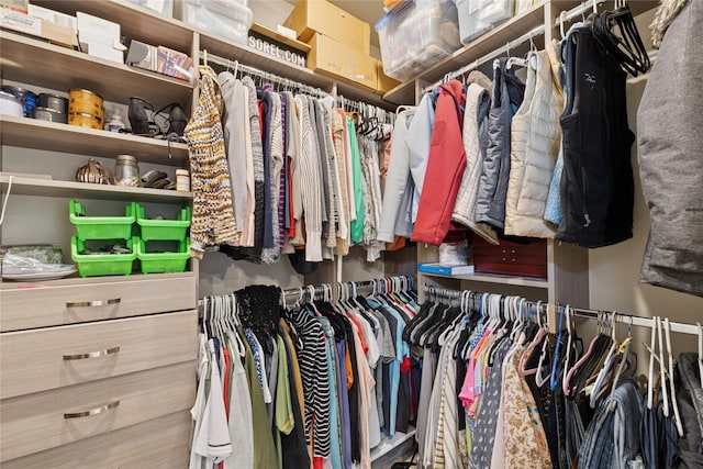 101 Shellan Way, Kalispell, MT 59901 - view of walk in closet