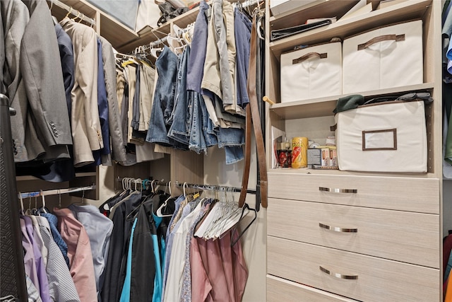 101 Shellan Way, Kalispell, MT 59901 - view of walk in closet
