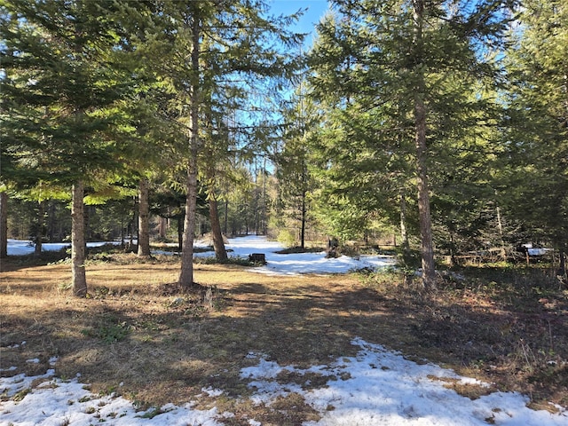 snowy yard featuring a forest view