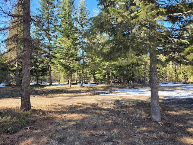 view of yard with a wooded view