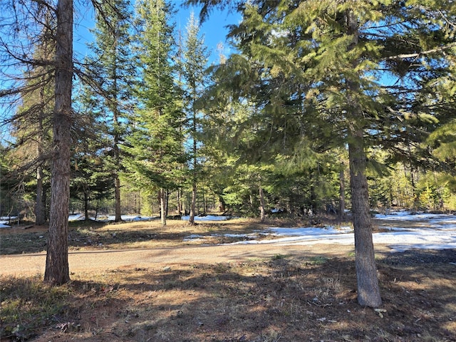 view of yard with a forest view