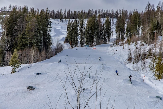 snowy aerial view with a wooded view