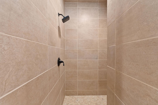 interior details with tiled shower